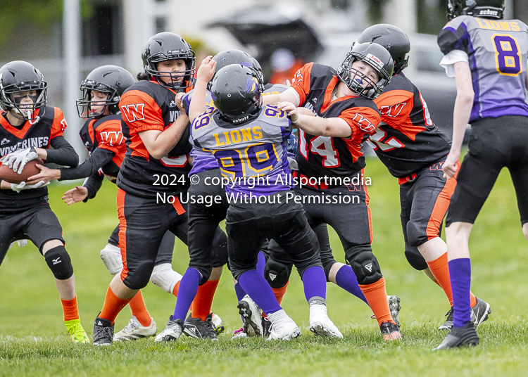 Oceanside Lions Parksville Saanich Wolverines GVMFA BCCPFA VICFA;communty football Spartans Warriors Westshore Goudy SOUTHSIDE DAWGS  HARWOOD cowichan bulldogs nanaimo footbsll isn