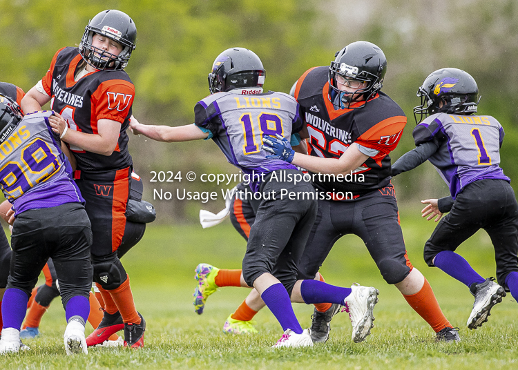 Oceanside Lions Parksville Saanich Wolverines GVMFA BCCPFA VICFA;communty football Spartans Warriors Westshore Goudy SOUTHSIDE DAWGS  HARWOOD cowichan bulldogs nanaimo footbsll isn