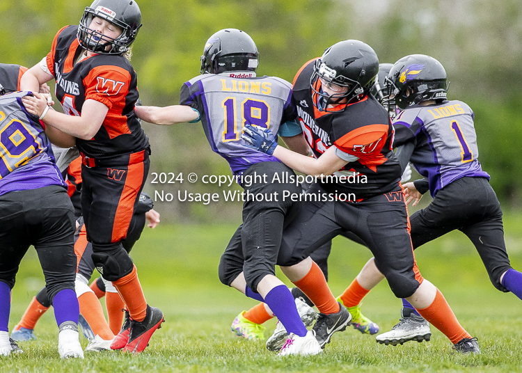 Oceanside Lions Parksville Saanich Wolverines GVMFA BCCPFA VICFA;communty football Spartans Warriors Westshore Goudy SOUTHSIDE DAWGS  HARWOOD cowichan bulldogs nanaimo footbsll isn