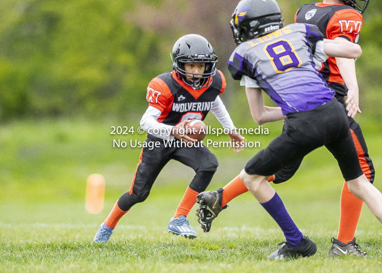 Oceanside Lions Parksville Saanich Wolverines GVMFA BCCPFA VICFA;communty football Spartans Warriors Westshore Goudy SOUTHSIDE DAWGS  HARWOOD cowichan bulldogs nanaimo footbsll isn