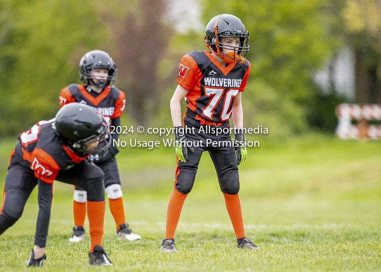 Oceanside Lions Parksville Saanich Wolverines GVMFA BCCPFA VICFA;communty football Spartans Warriors Westshore Goudy SOUTHSIDE DAWGS  HARWOOD cowichan bulldogs nanaimo footbsll isn