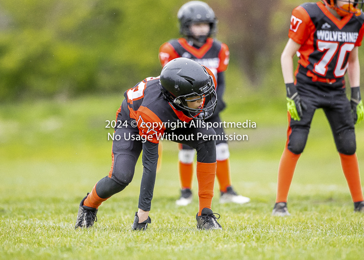 Oceanside Lions Parksville Saanich Wolverines GVMFA BCCPFA VICFA;communty football Spartans Warriors Westshore Goudy SOUTHSIDE DAWGS  HARWOOD cowichan bulldogs nanaimo footbsll isn