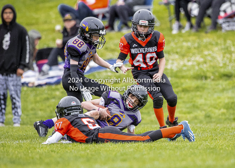 Oceanside Lions Parksville Saanich Wolverines GVMFA BCCPFA VICFA;communty football Spartans Warriors Westshore Goudy SOUTHSIDE DAWGS  HARWOOD cowichan bulldogs nanaimo footbsll isn