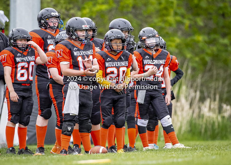 Oceanside Lions Parksville Saanich Wolverines GVMFA BCCPFA VICFA;communty football Spartans Warriors Westshore Goudy SOUTHSIDE DAWGS  HARWOOD cowichan bulldogs nanaimo footbsll isn