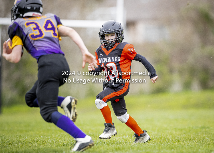 Oceanside Lions Parksville Saanich Wolverines GVMFA BCCPFA VICFA;communty football Spartans Warriors Westshore Goudy SOUTHSIDE DAWGS  HARWOOD cowichan bulldogs nanaimo footbsll isn