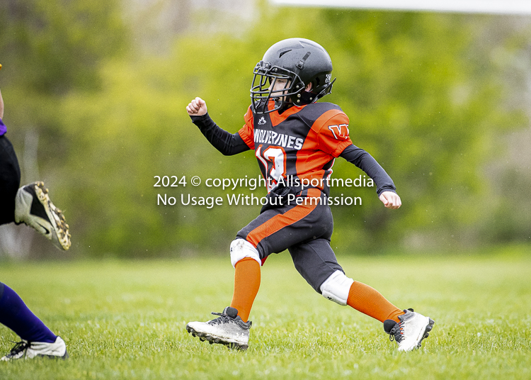 Oceanside Lions Parksville Saanich Wolverines GVMFA BCCPFA VICFA;communty football Spartans Warriors Westshore Goudy SOUTHSIDE DAWGS  HARWOOD cowichan bulldogs nanaimo footbsll isn