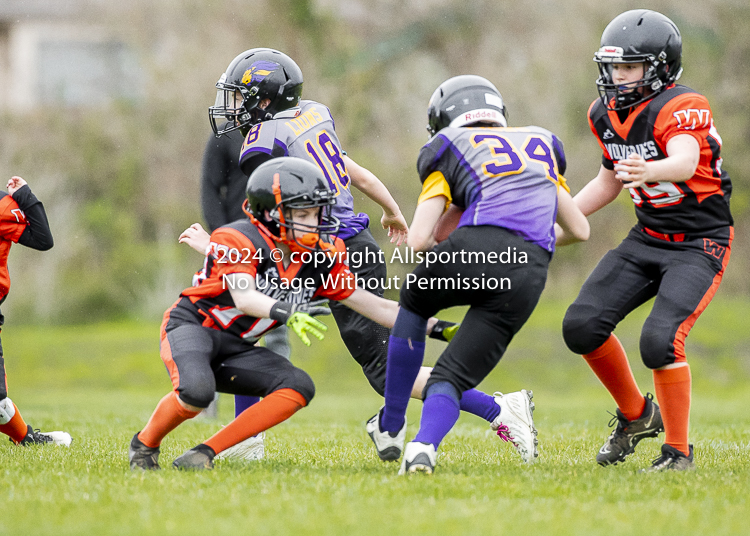 Oceanside Lions Parksville Saanich Wolverines GVMFA BCCPFA VICFA;communty football Spartans Warriors Westshore Goudy SOUTHSIDE DAWGS  HARWOOD cowichan bulldogs nanaimo footbsll isn