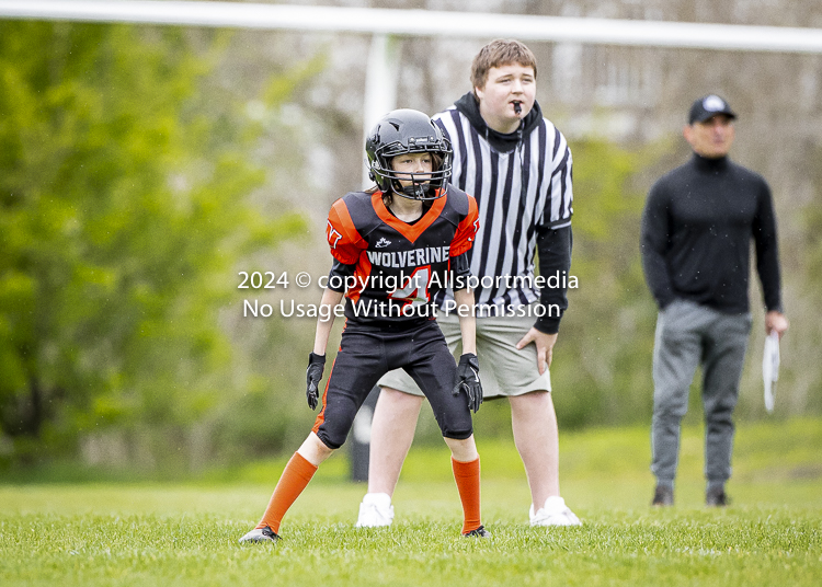 Oceanside Lions Parksville Saanich Wolverines GVMFA BCCPFA VICFA;communty football Spartans Warriors Westshore Goudy SOUTHSIDE DAWGS  HARWOOD cowichan bulldogs nanaimo footbsll isn