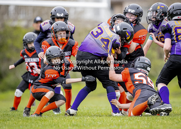 Oceanside Lions Parksville Saanich Wolverines GVMFA BCCPFA VICFA;communty football Spartans Warriors Westshore Goudy SOUTHSIDE DAWGS  HARWOOD cowichan bulldogs nanaimo footbsll isn