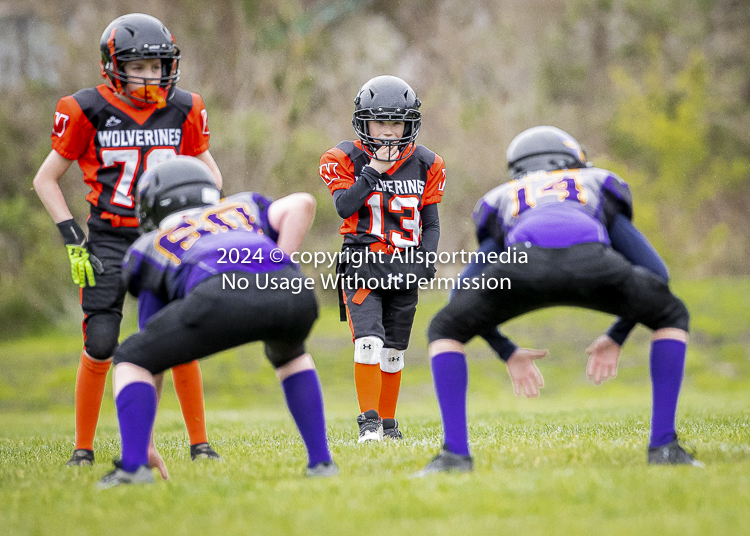 Oceanside Lions Parksville Saanich Wolverines GVMFA BCCPFA VICFA;communty football Spartans Warriors Westshore Goudy SOUTHSIDE DAWGS  HARWOOD cowichan bulldogs nanaimo footbsll isn