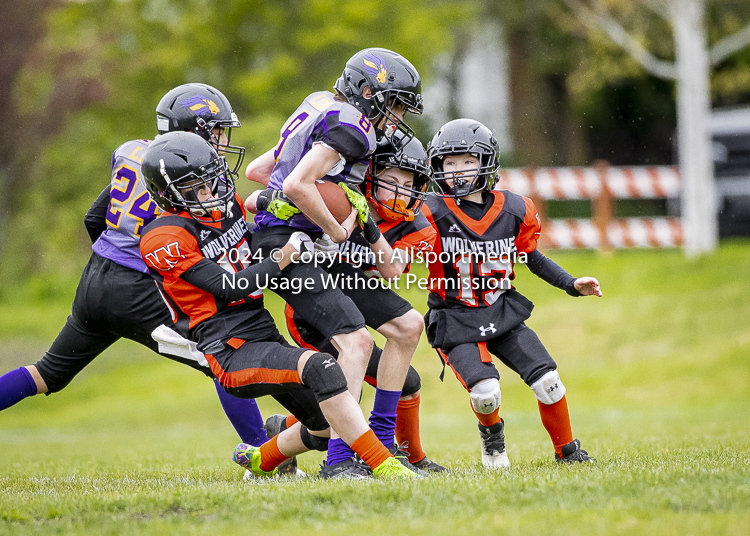 Oceanside Lions Parksville Saanich Wolverines GVMFA BCCPFA VICFA;communty football Spartans Warriors Westshore Goudy SOUTHSIDE DAWGS  HARWOOD cowichan bulldogs nanaimo footbsll isn