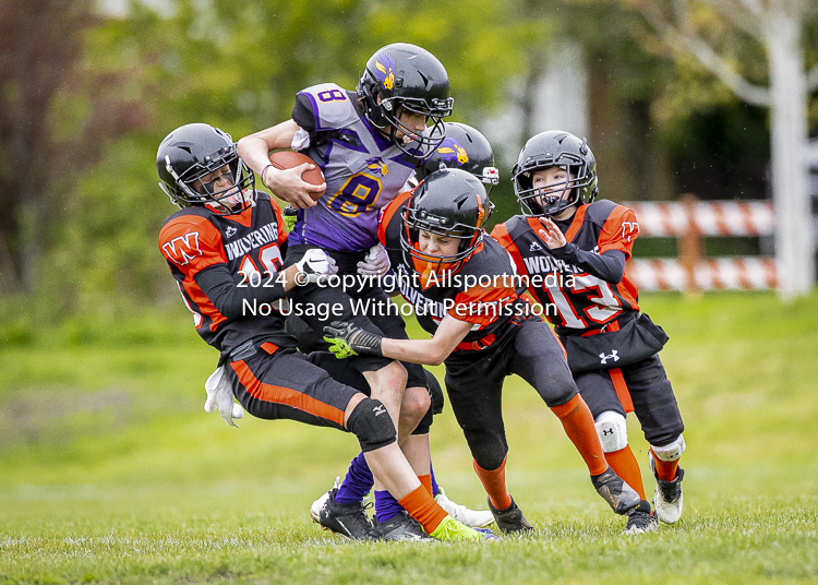 Oceanside Lions Parksville Saanich Wolverines GVMFA BCCPFA VICFA;communty football Spartans Warriors Westshore Goudy SOUTHSIDE DAWGS  HARWOOD cowichan bulldogs nanaimo footbsll isn