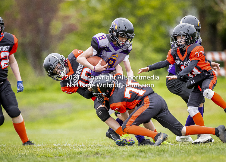 Oceanside Lions Parksville Saanich Wolverines GVMFA BCCPFA VICFA;communty football Spartans Warriors Westshore Goudy SOUTHSIDE DAWGS  HARWOOD cowichan bulldogs nanaimo footbsll isn