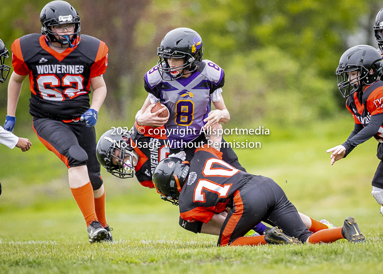 Oceanside Lions Parksville Saanich Wolverines GVMFA BCCPFA VICFA;communty football Spartans Warriors Westshore Goudy SOUTHSIDE DAWGS  HARWOOD cowichan bulldogs nanaimo footbsll isn