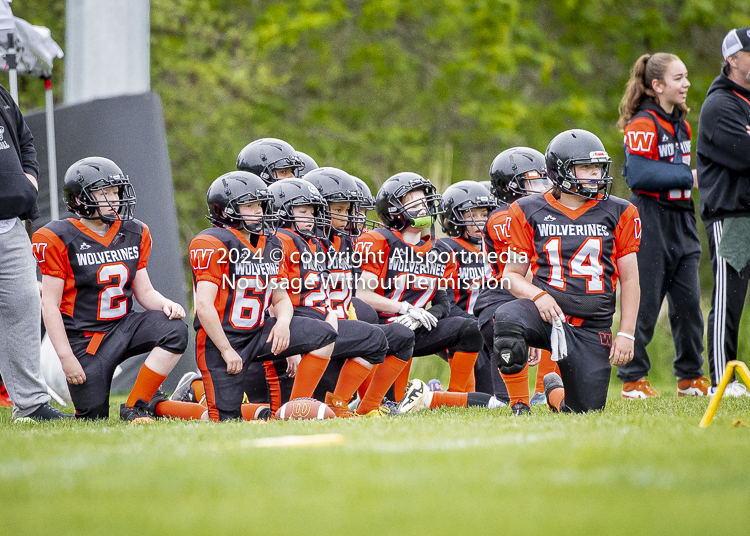 Oceanside Lions Parksville Saanich Wolverines GVMFA BCCPFA VICFA;communty football Spartans Warriors Westshore Goudy SOUTHSIDE DAWGS  HARWOOD cowichan bulldogs nanaimo footbsll isn