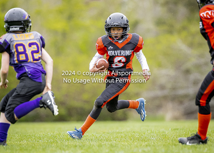 Oceanside Lions Parksville Saanich Wolverines GVMFA BCCPFA VICFA;communty football Spartans Warriors Westshore Goudy SOUTHSIDE DAWGS  HARWOOD cowichan bulldogs nanaimo footbsll isn