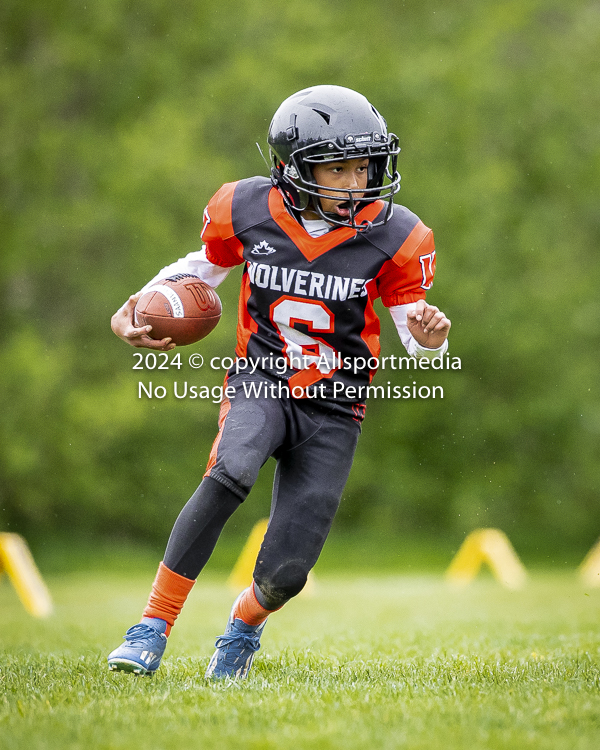 Oceanside Lions Parksville Saanich Wolverines GVMFA BCCPFA VICFA;communty football Spartans Warriors Westshore Goudy SOUTHSIDE DAWGS  HARWOOD cowichan bulldogs nanaimo footbsll isn