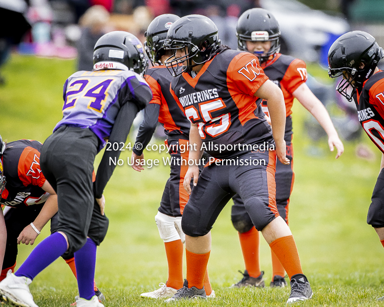 Oceanside Lions Parksville Saanich Wolverines GVMFA BCCPFA VICFA;communty football Spartans Warriors Westshore Goudy SOUTHSIDE DAWGS  HARWOOD cowichan bulldogs nanaimo footbsll isn