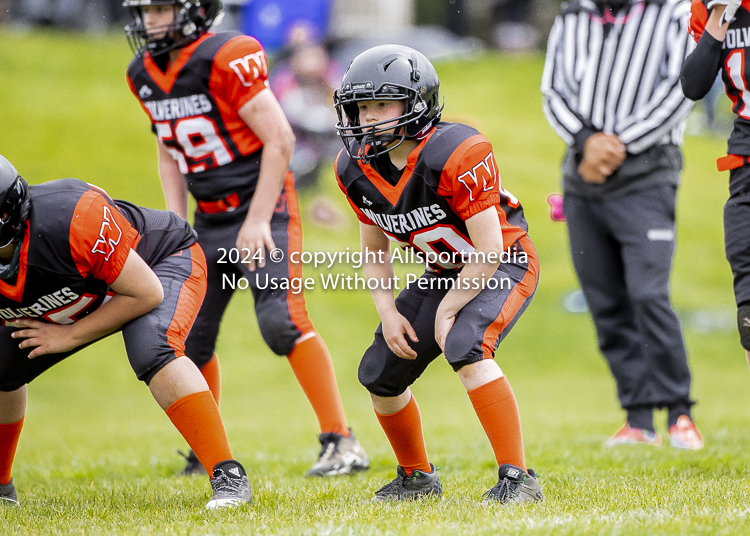 Oceanside Lions Parksville Saanich Wolverines GVMFA BCCPFA VICFA;communty football Spartans Warriors Westshore Goudy SOUTHSIDE DAWGS  HARWOOD cowichan bulldogs nanaimo footbsll isn