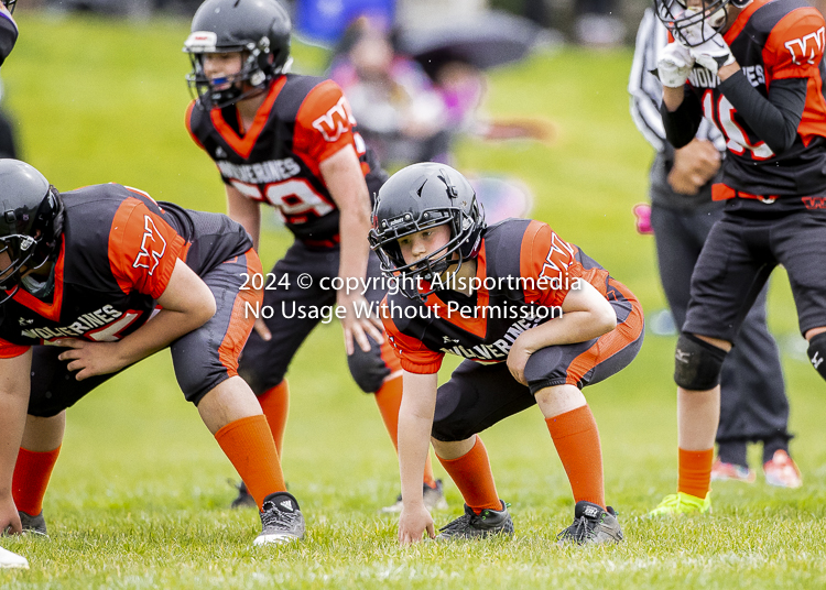 Oceanside Lions Parksville Saanich Wolverines GVMFA BCCPFA VICFA;communty football Spartans Warriors Westshore Goudy SOUTHSIDE DAWGS  HARWOOD cowichan bulldogs nanaimo footbsll isn