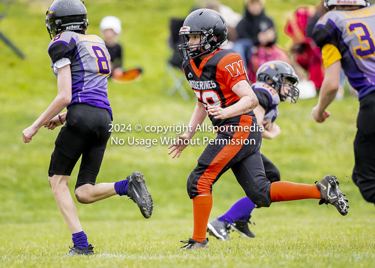 Oceanside Lions Parksville Saanich Wolverines GVMFA BCCPFA VICFA;communty football Spartans Warriors Westshore Goudy SOUTHSIDE DAWGS  HARWOOD cowichan bulldogs nanaimo footbsll isn