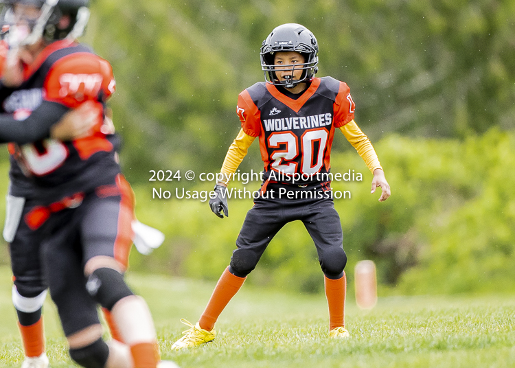 Oceanside Lions Parksville Saanich Wolverines GVMFA BCCPFA VICFA;communty football Spartans Warriors Westshore Goudy SOUTHSIDE DAWGS  HARWOOD cowichan bulldogs nanaimo footbsll isn