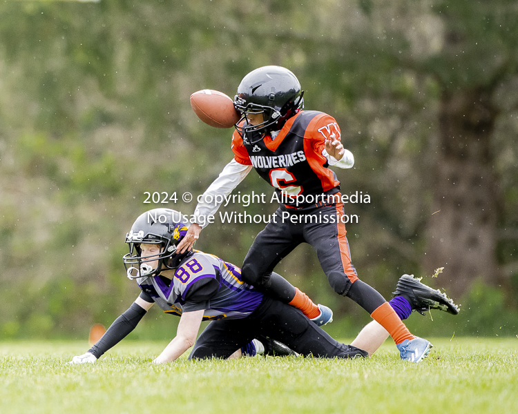 Oceanside Lions Parksville Saanich Wolverines GVMFA BCCPFA VICFA;communty football Spartans Warriors Westshore Goudy SOUTHSIDE DAWGS  HARWOOD cowichan bulldogs nanaimo footbsll isn