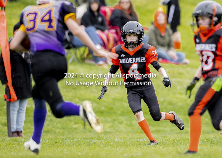 Oceanside Lions Parksville Saanich Wolverines GVMFA BCCPFA VICFA;communty football Spartans Warriors Westshore Goudy SOUTHSIDE DAWGS  HARWOOD cowichan bulldogs nanaimo footbsll isn