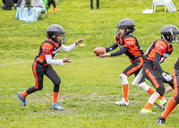 Oceanside-Lions-Parksville-Saanich-Wolverines-GVMFA-BCCPFA-VICFA;communty-football-Spartans-Warriors-Westshore-Goudy-SOUTHSIDE-DAWGS-HARWOOD-cowichan-bulldogs-nanaimo-footbsll-isn