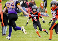 Oceanside-Lions-Parksville-Saanich-Wolverines-GVMFA-BCCPFA-VICFA;communty-football-Spartans-Warriors-Westshore-Goudy-SOUTHSIDE-DAWGS-HARWOOD-cowichan-bulldogs-nanaimo-footbsll-isn