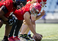 Westshore-Rebels-ISN-Island-Sports-News-BCFC-Allsportmedia-Langford-Football-CJFL