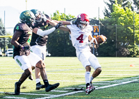 Westshore-Rebels-ISN-Island-Sports-News-BCFC-Allsportmedia-Langford-Football-CJFL