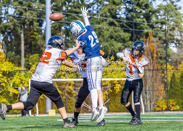 Belmont Bulldogs Football High School Football Allsportmedia Photography BC High School Football AAA Junior Varsity Varsity Goudy Field Langford;Junior Varsity Bulldogs Spectrum Thunder BCHSFB