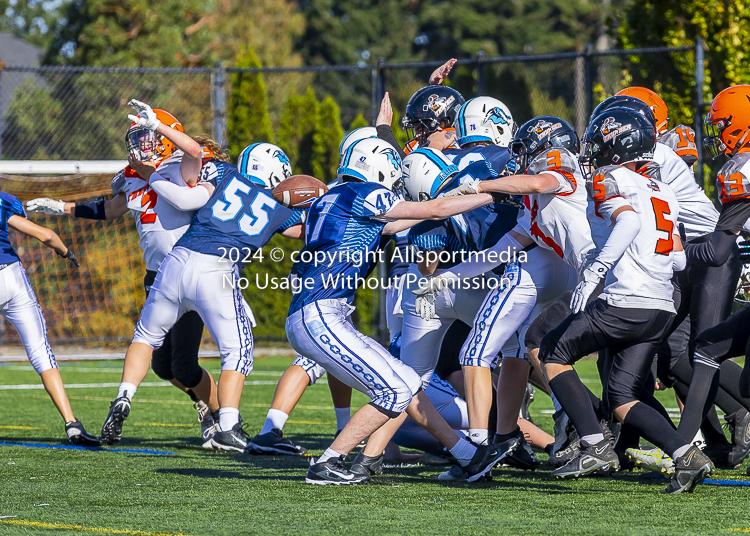 Belmont Bulldogs Football High School Football Allsportmedia Photography BC High School Football AAA Junior Varsity Varsity Goudy Field Langford;Junior Varsity Bulldogs Spectrum Thunder BCHSFB