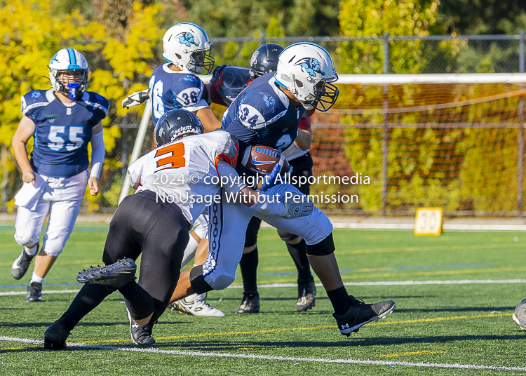 Belmont Bulldogs Football High School Football Allsportmedia Photography BC High School Football AAA Junior Varsity Varsity Goudy Field Langford;Junior Varsity Bulldogs Spectrum Thunder BCHSFB