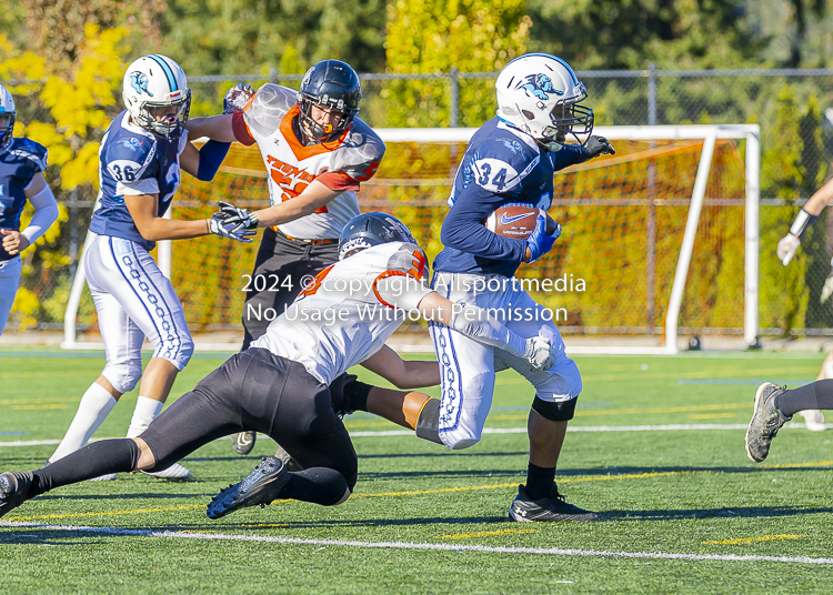 Belmont Bulldogs Football High School Football Allsportmedia Photography BC High School Football AAA Junior Varsity Varsity Goudy Field Langford;Junior Varsity Bulldogs Spectrum Thunder BCHSFB