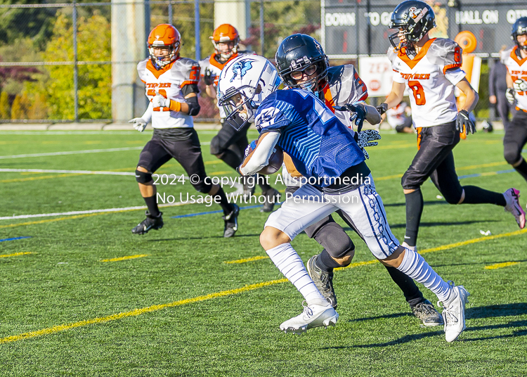 Belmont Bulldogs Football High School Football Allsportmedia Photography BC High School Football AAA Junior Varsity Varsity Goudy Field Langford;Junior Varsity Bulldogs Spectrum Thunder BCHSFB