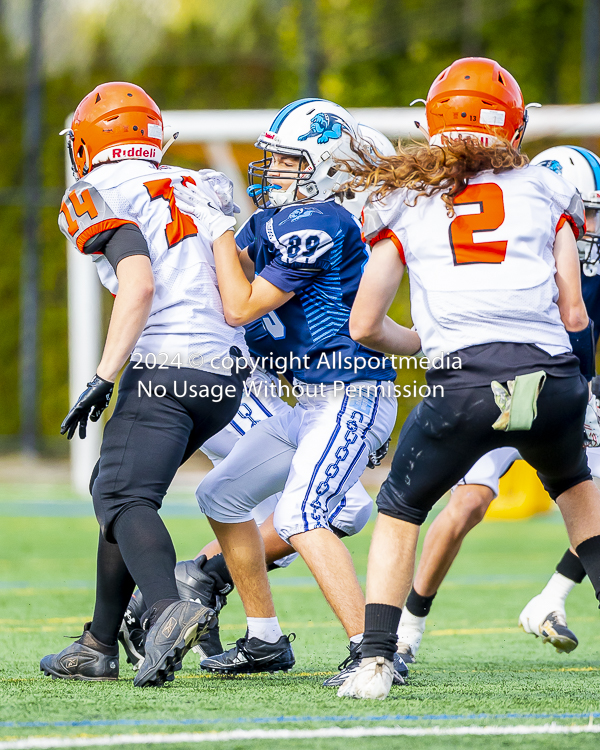 Belmont Bulldogs Football High School Football Allsportmedia Photography BC High School Football AAA Junior Varsity Varsity Goudy Field Langford;Junior Varsity Bulldogs Spectrum Thunder BCHSFB