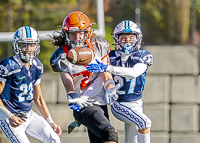 Belmont-Bulldogs-Football-High-School-Football-Allsportmedia-Photography-BC-High-School-Football-AAA-Junior-Varsity-Varsity-Goudy-Field-Langford