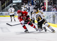 Allsportmediaca-Independent-Sports-News-Island-Sports-News-Victoria-Canon-Victoria-Grizzlies-Naniamo-Clippers-BCHL-Hockey-Vancouver-Island;independent-sports-news