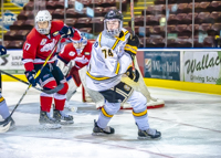 Allsportmediaca-Independent-Sports-News-Island-Sports-News-Victoria-Canon-Football-Hockey-Rugby-Canada-WHL-Royals-Rebelsl-BCFC-CJFL-VI-Raiders-Vancouver-Island-Canada-Soccer-NHL-NFL-BCHL-Highschool-Basketball-Volleyball;independent-sports-news