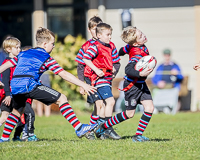 Camosun-College-Chargers-Basketball-Victoria-Allsportmediaca-ISN-Erich-Eichhorn-USports-PacWest;rugby-bc-rugby-rugby-canada