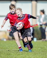 Camosun-College-Chargers-Basketball-Victoria-Allsportmediaca-ISN-Erich-Eichhorn-USports-PacWest;rugby-bc-rugby-rugby-canada