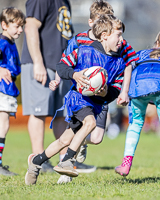 Camosun-College-Chargers-Basketball-Victoria-Allsportmediaca-ISN-Erich-Eichhorn-USports-PacWest;rugby-bc-rugby-rugby-canada