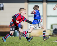 Camosun-College-Chargers-Basketball-Victoria-Allsportmediaca-ISN-Erich-Eichhorn-USports-PacWest;rugby-bc-rugby-rugby-canada