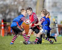 Camosun-College-Chargers-Basketball-Victoria-Allsportmediaca-ISN-Erich-Eichhorn-USports-PacWest;rugby-bc-rugby-rugby-canada