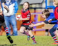 Camosun-College-Chargers-Basketball-Victoria-Allsportmediaca-ISN-Erich-Eichhorn-USports-PacWest;rugby-bc-rugby-rugby-canada