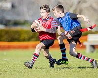 Camosun-College-Chargers-Basketball-Victoria-Allsportmediaca-ISN-Erich-Eichhorn-USports-PacWest;rugby-bc-rugby-rugby-canada