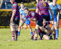 Camosun-College-Chargers-Basketball-Victoria-Allsportmediaca-ISN-Erich-Eichhorn-USports-PacWest;rugby-bc-rugby-rugby-canada