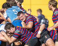 Camosun-College-Chargers-Basketball-Victoria-Allsportmediaca-ISN-Erich-Eichhorn-USports-PacWest;rugby-bc-rugby-rugby-canada